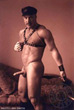 Donnie Russo - Tattooed & Verile Gay Porn Performer