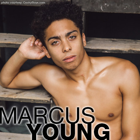 Youngest Black Porn Stars - Marcus Young aka: Marcus LaBronx | American CockyBoys Gay Porn Star |  smutjunkies Gay Porn Star Male Model Directory