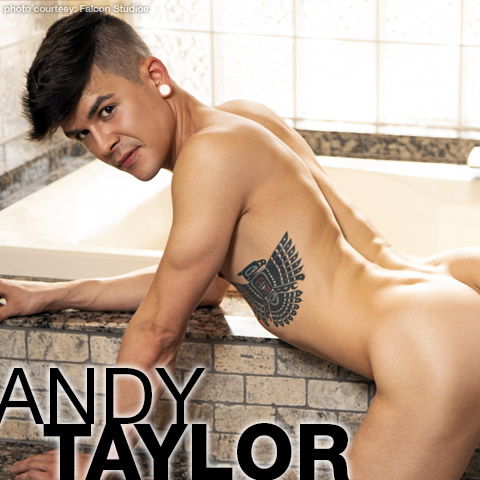 Andy Taylor Twink