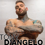 Tony Dangelo Tony D'Angelo Canadian Gay Porn Star 137159 gayporn star