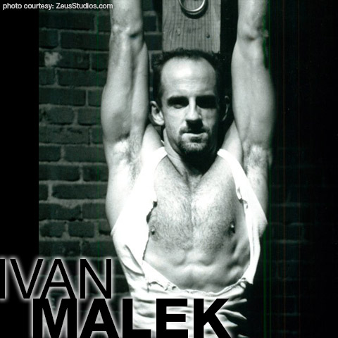 Ivan Malek American Bondage Discipline Gay Porn Star Gay Porn 100798 gayporn star