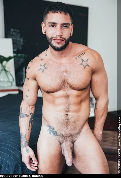 Brock Banks Handsome Hung Uncut GoGo Boy Gay Porn Star Gay Porn 135981 gayporn star