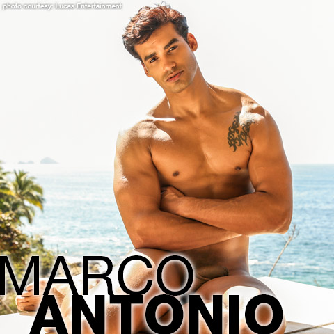 Marco Antonio Hung Venezuelan Power Top Gay Porn Star Gay Porn 136691 gayporn star