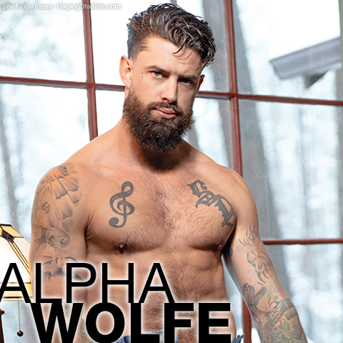 Alpha Wolfe Sexy Burly American Escort Gay Porn Star Gay Porn 136872 gayporn star
