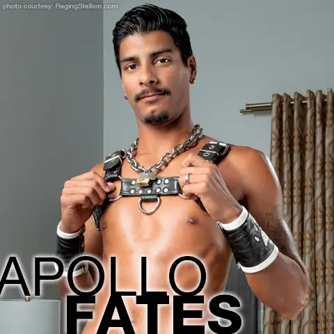 Apollo Cute American Bottom Boy Gay Porn Star Gay Porn 136654 gayporn star