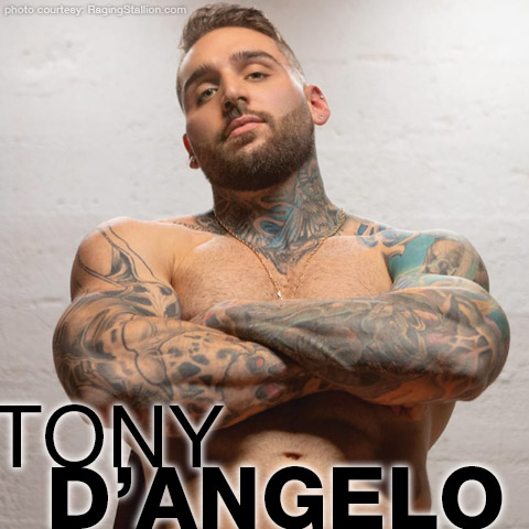 Tony Dangelo Tony D'Angelo Sexy Canadian Tattooed Gay Porn Star Gay Porn 137159 gayporn star