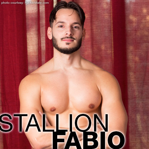 Stallion Fabio Handsome Hung French Gay Porn Star Gay Porn 137164 gayporn star