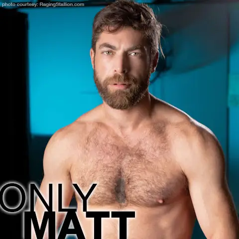 Only Matt Hairy Handsome Hunk Gay Porn Star Gay Porn 140091 gayporn star