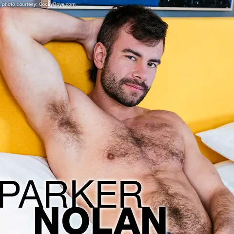 Parker Nolan Scruffy Handsome Gay Porn Star 140390 gayporn star