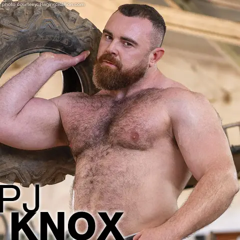 PJ Knox Burly Bear Scottish Gay Porn Star Gay Porn 140755 gayporn star