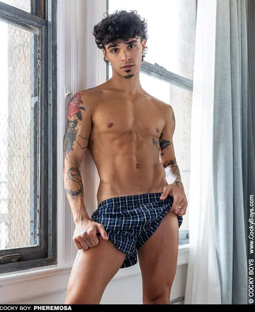 Pheremosa Sexy Femboy Gay Porn Star Gay Porn 141047 gayporn star