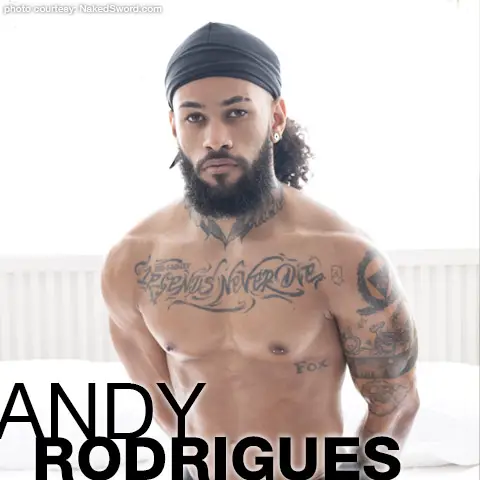 Andy Rodrigues Horse Hung Handsome Brazilian Gay Porn Star Gay Porn 141076 gayporn star